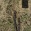 deere-tires-image-11