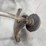 qty-of-(3)-parts-only-trimmer(s)-image-18