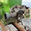 john-deere-1½-hp-type-e-hit-and-miss-engine-image-9
