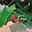 2022-john-deere-cs770-cotton-stripper-image-19