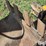 davis-d2100-backhoe-attachment-image-14
