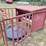 tarter-calf-creep-feeder-image-1