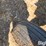 troy-bilt-mustang-xp-image-13