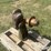 john-deere-60-image-1