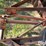 international-tandem-disk-image-16