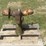 john-deere-60-image-2
