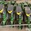 john-deere-5-image-13