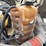 2015-international-prostar-image-62