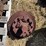 mix-of-tractor-engine-and-drivetrain-parts.-image-2