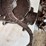 (2)-black-hawk-corn-sheller-image-6