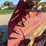 international-manure-spreader-image-28