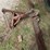 3pt-blade-image-2
