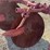 minneapolis-moline-disc-plow-image-14