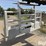 peterbilt-379-image-3