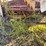 international-manure-spreader-image-30