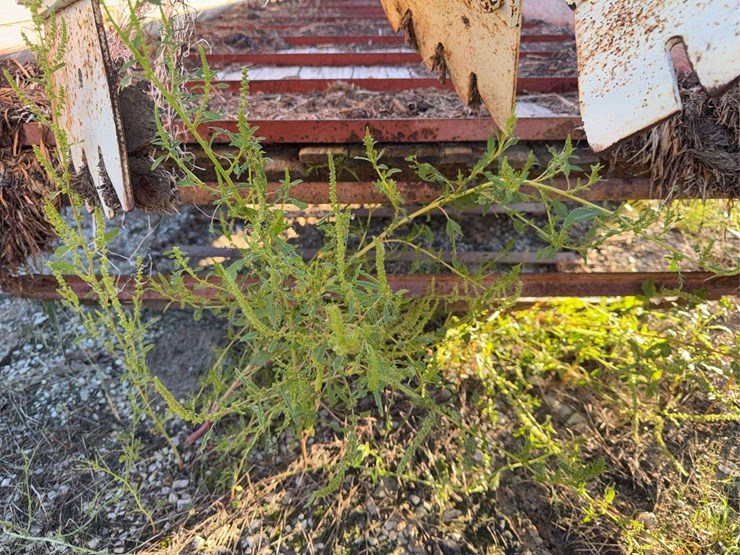 international-manure-spreader-image-30