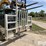 peterbilt-389-image-7