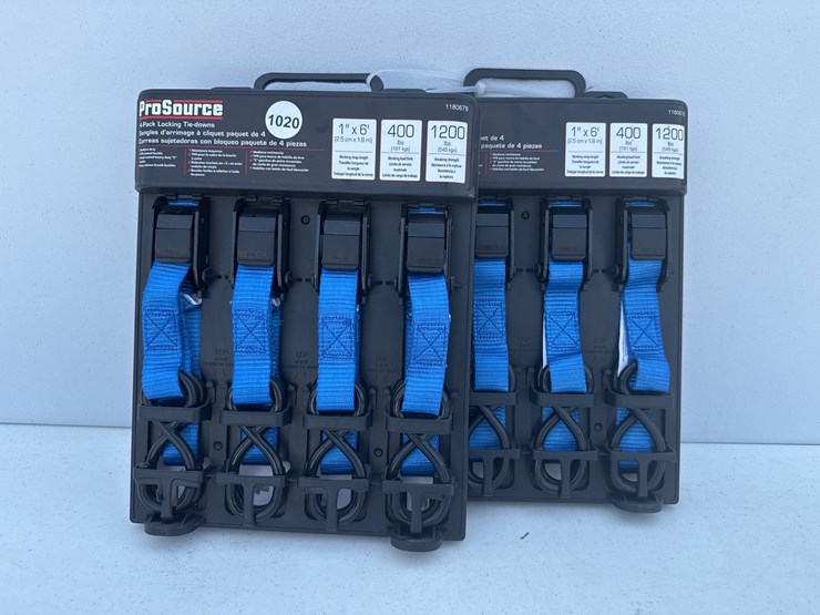 #1020-•-pro-source-4-pack-locking-tie-downs-1in-x-6ft-image-1
