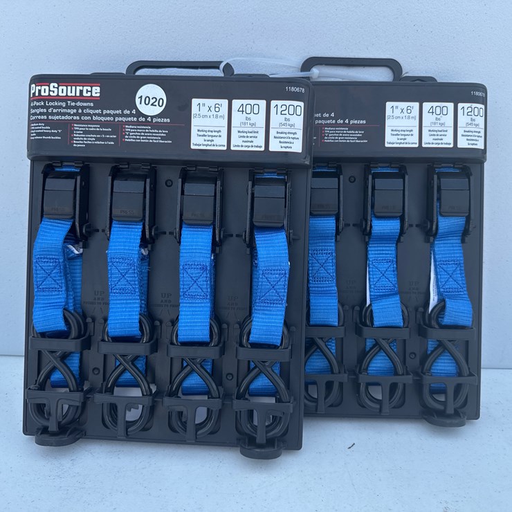 #1020 • PRO SOURCE 4 Pack Locking Tie Downs 1in x 6ft