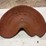 (2)-walter-a.-wood-seats-image-2