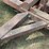 large-roller-image-11