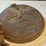 planter-lids-and-more-image-5