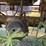 monon-van-trailer-image-31