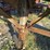 monon-van-trailer-image-27