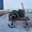 fairbanks-1-1/2-horse-image-1