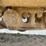 2016-metso-lt106-image-30