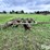 deere-tires-image-4