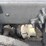 2015-international-prostar-image-35