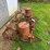 allis-chalmers-2-row-planter-for-g-tractor-image-3