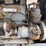 wallis-20-30-tractor-image-19