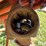 new-holland-1033-image-8