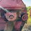 international-manure-spreader-image-20