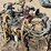 caterpillar-3306-image-11