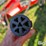 2005-case-ih-rbx562-image-13