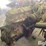 caterpillar-3406b-image-5