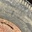 hay-wagon-image-26
