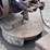 international-tom-thumb-engine-image-32