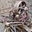 dempster-antique-belt-driven-well-pump-image-1