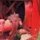 mccormick-w6-standard-image-63