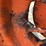 allis-chalmers-uc-image-40
