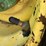 john-deere-4620-image-21