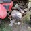 honda-185s-three-wheeler-image-6