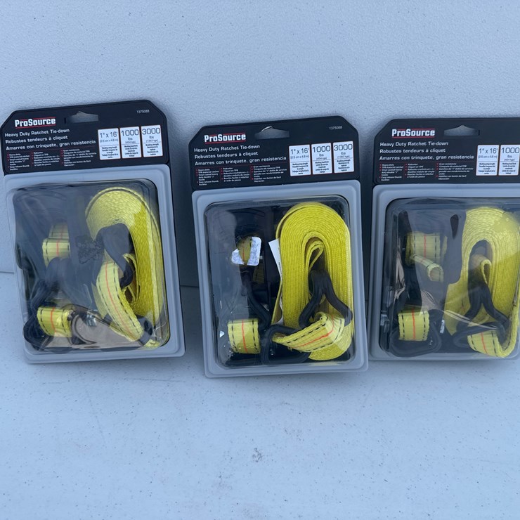 #1026 • PRO SOURCE 1in x 16ft Ratchet Straps