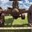 farmall-f-20-image-24
