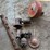 international-parts-image-1