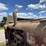 farmall-f-20-image-50
